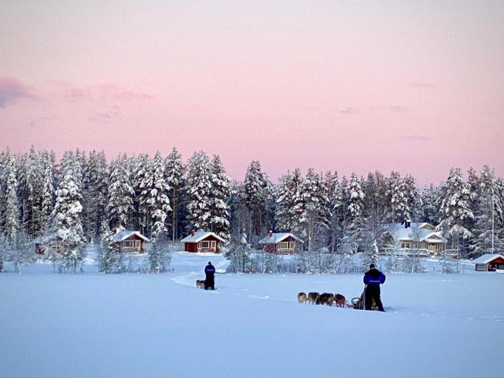Korvala Log Cabins Exteriör bild