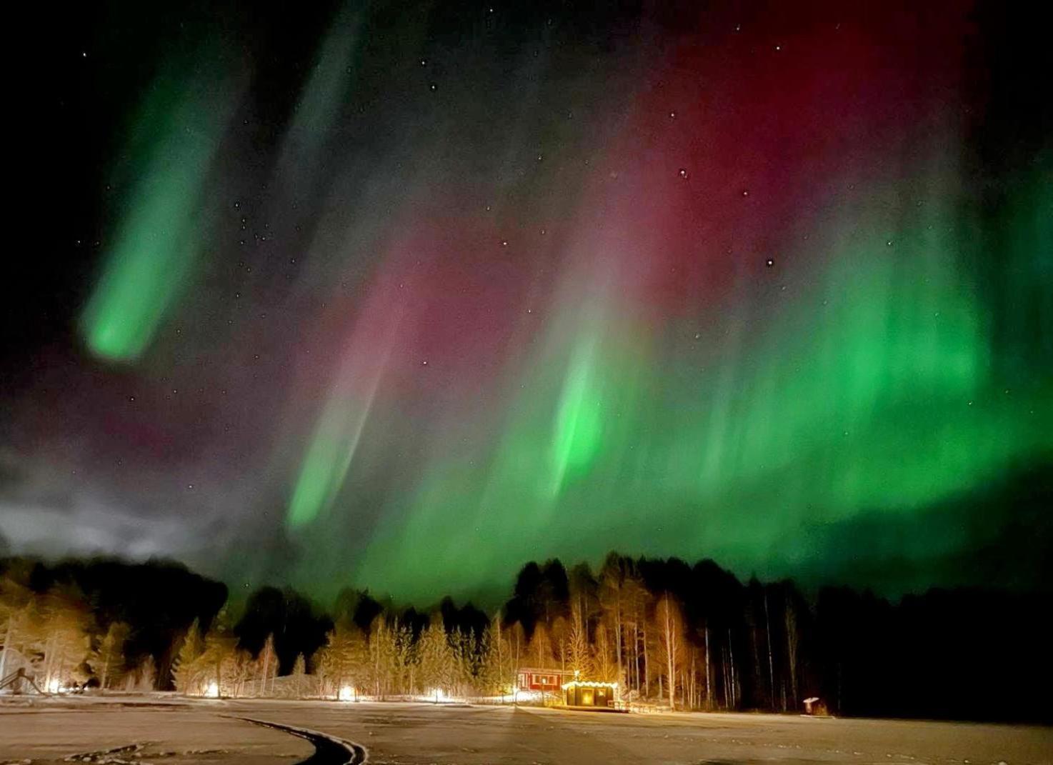 Korvala Log Cabins Exteriör bild